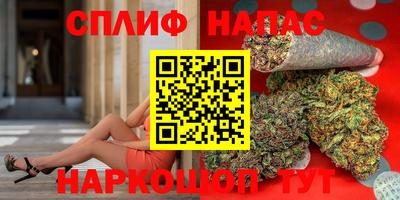 сатива Долгопрудный
