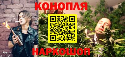 сатива Долгопрудный